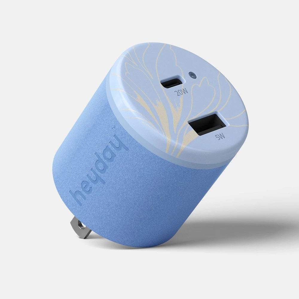 Dual Port 25W Wall Charger - Heyday™