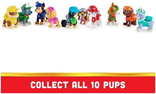 PAW Patrol All Paws on Deck 10 Collectible Toy Figures Gift Pack for Kids Ages 3+ Package is slightly damaged.