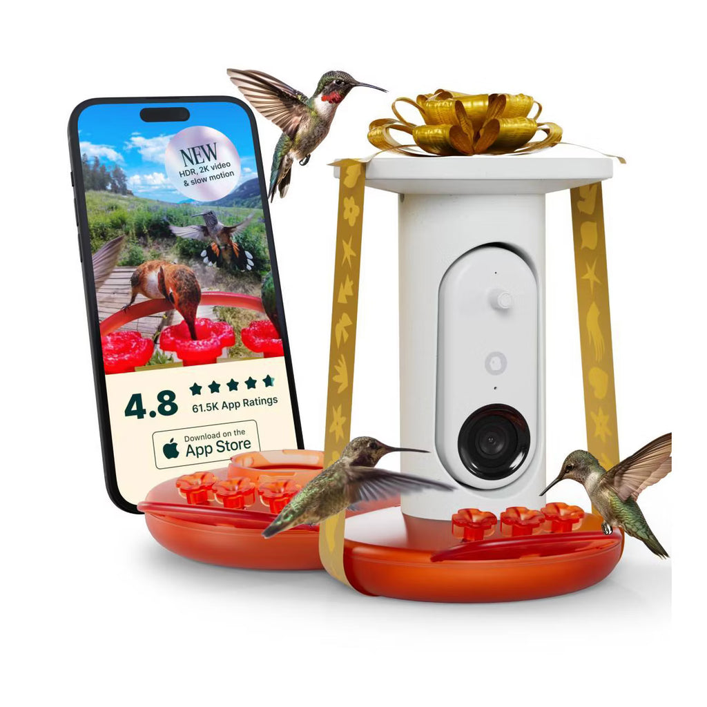 Birdbuddy Pro Solar Smart Hummingbird Feeder + Extra Base