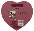Peanuts Plush Snoopy & Woodstock in Valentine's Gift Box